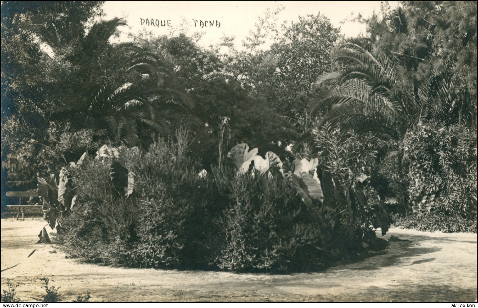 Postcard Tacna Parkanlage Peru South America 1922 - Peru