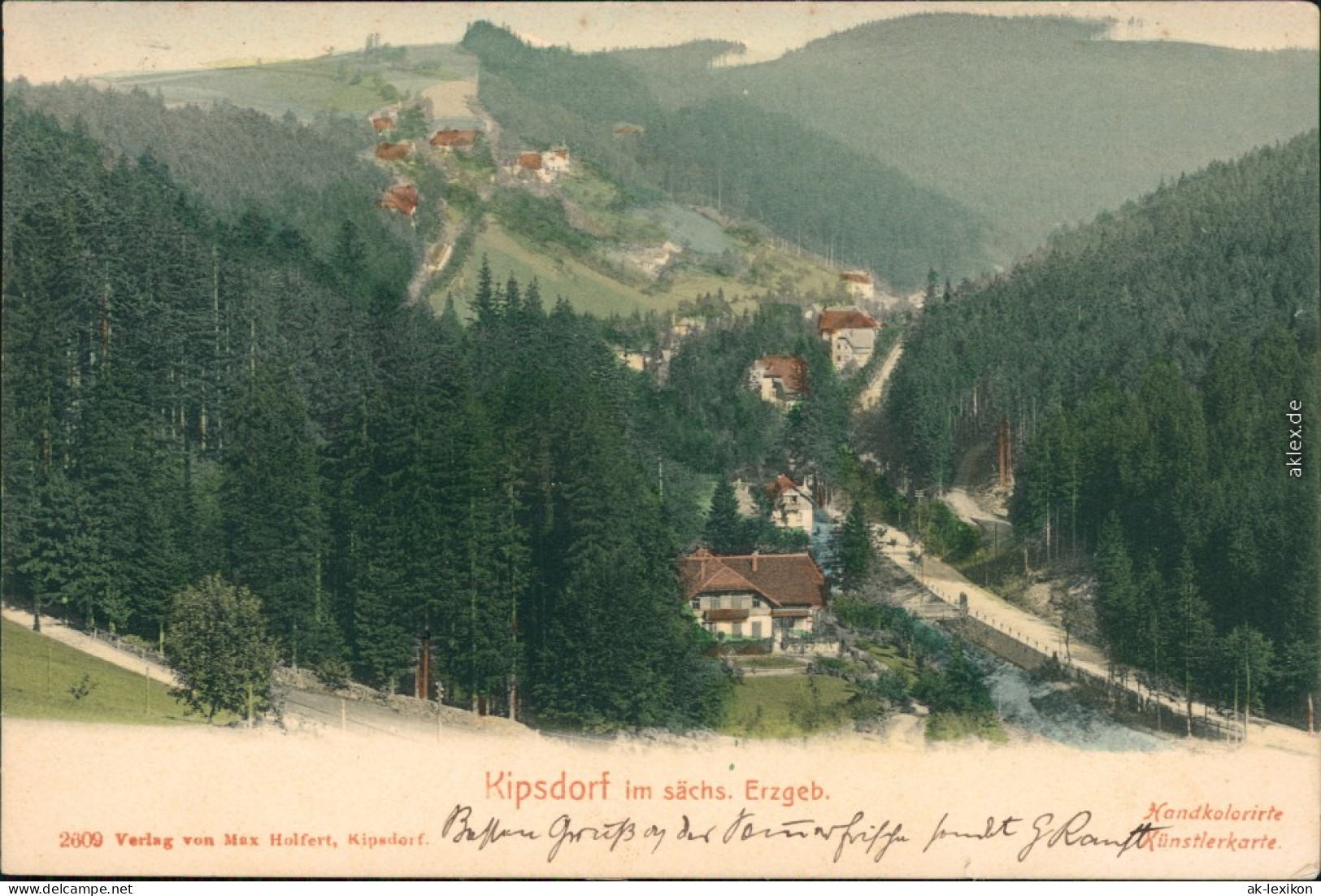 Kipsdorf-Altenberg (Erzgebirge) Stadtpartie (Handolorierte Ansichtskarte) 1905  - Kipsdorf