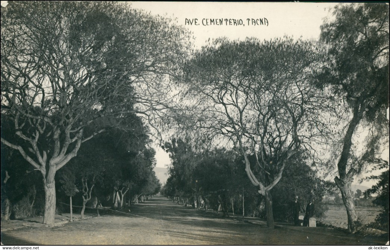 Postcard Tacna Avenue Cementerio Peru South America 1922 - Perú