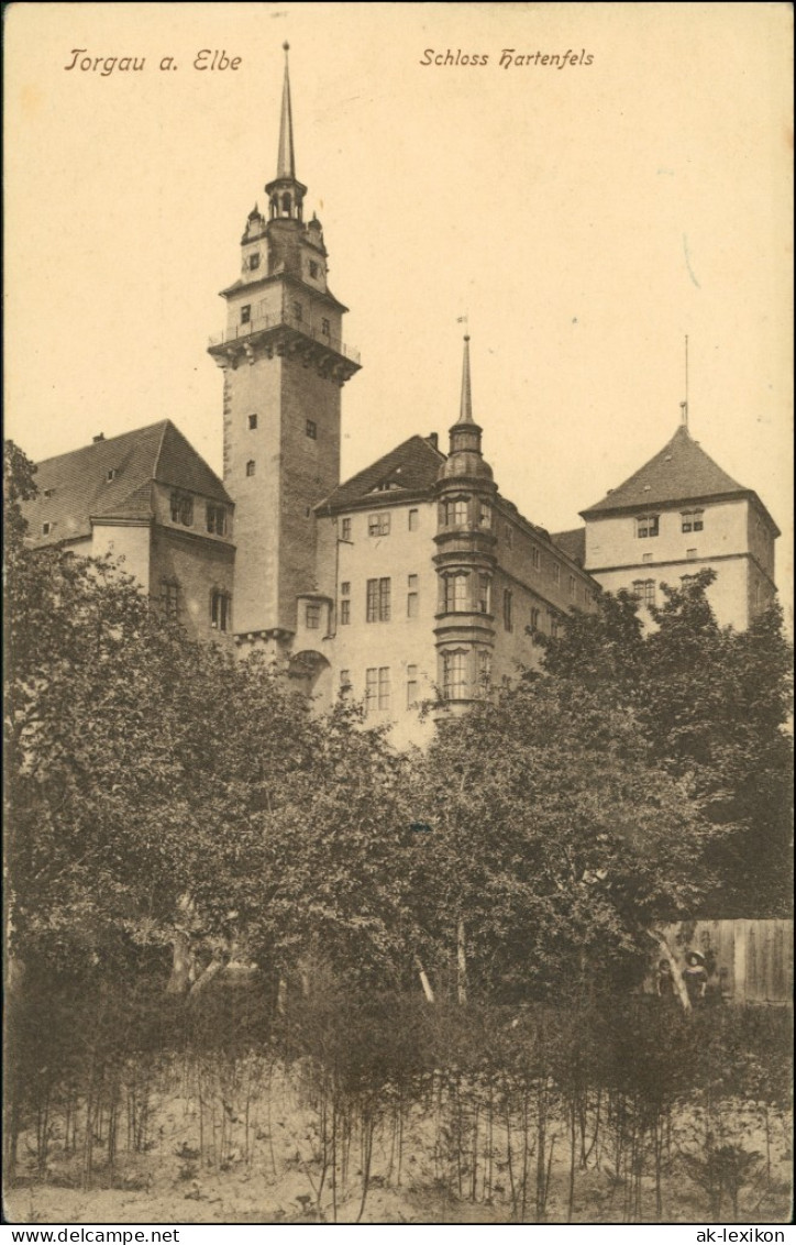 Ansichtskarte Torgau Schloss Hartenfels 1916 - Torgau