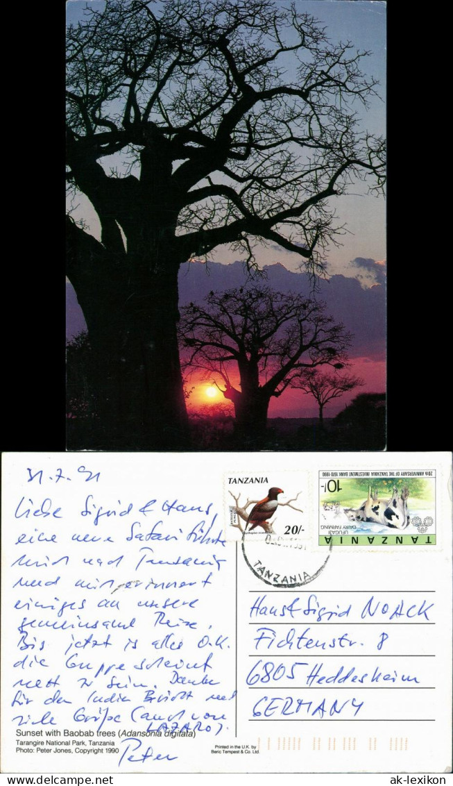 .Tansania Sunset With Baobab Trees (Baum Bäume Sonnenuntergang) 1991/1990 - Tanzanía