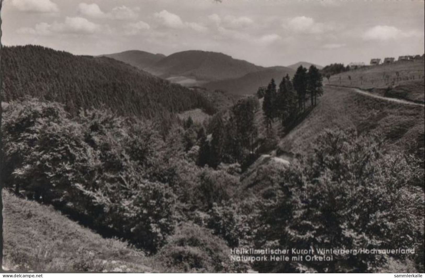 58280 - Winterberg - Naturpark Helle Mit Orketal - 1965 - Winterberg