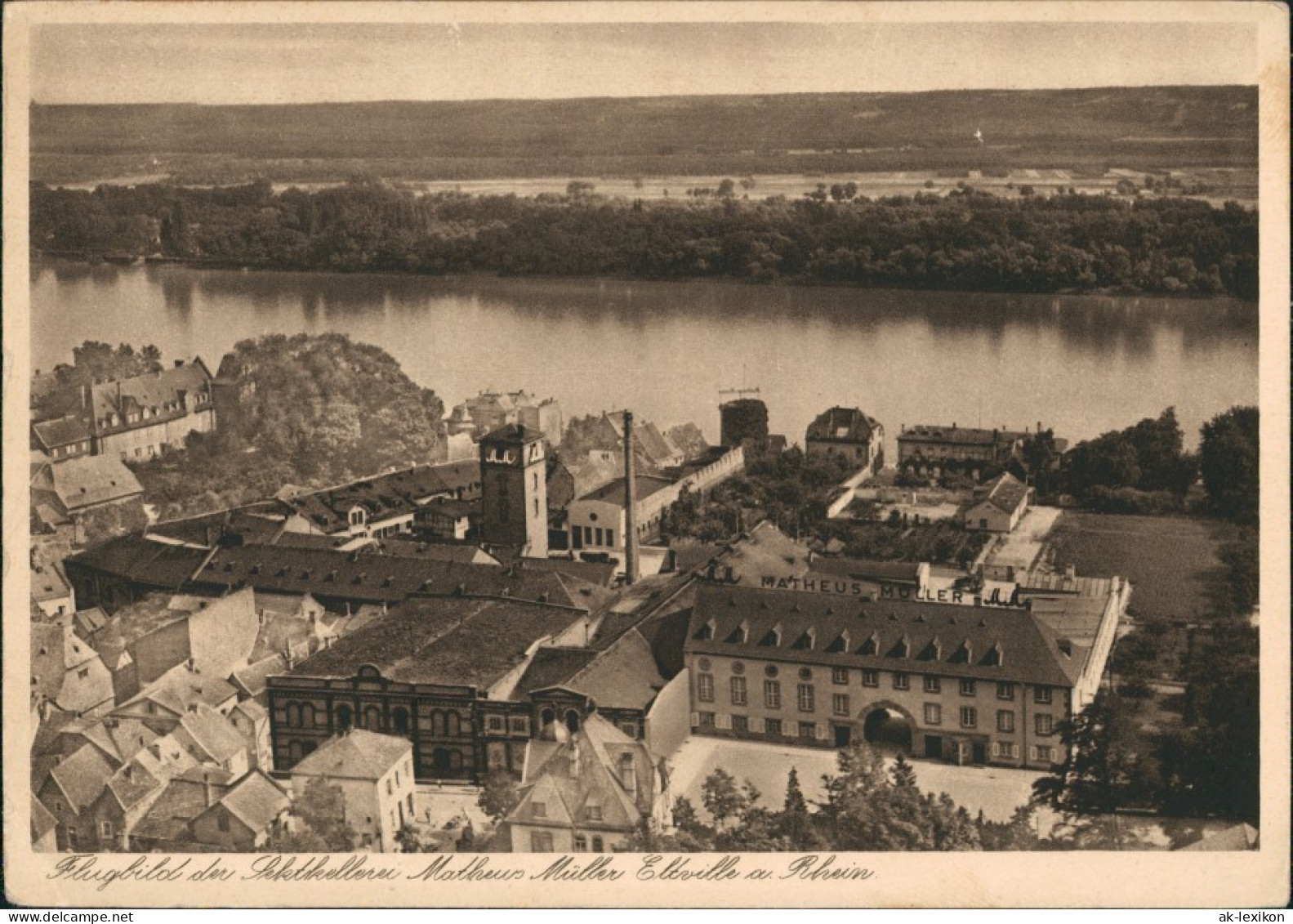 Ansichtskarte Eltville Am Rhein Luftbild MuM Sektkellerei 1927 - Eltville