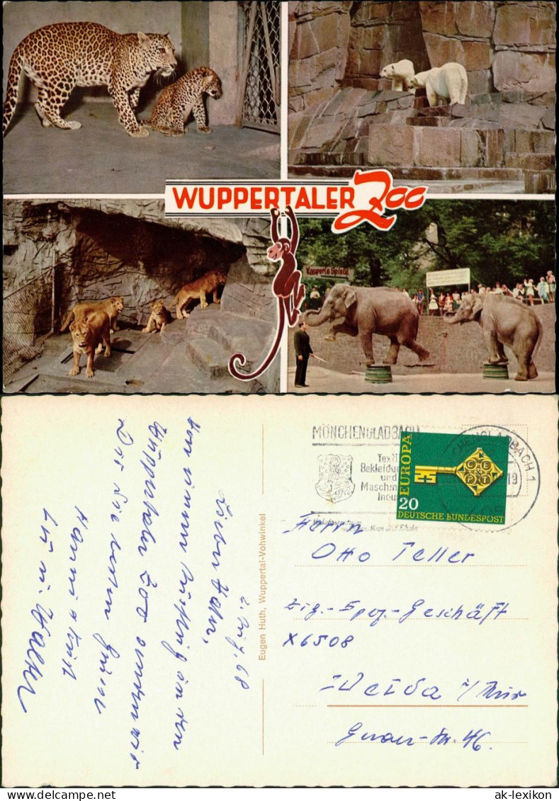 Elberfeld-Wuppertal Zoo Tiere Tiger, Eisbären, Löwe, Elefant Mehrbildkarte 1968 - Wuppertal