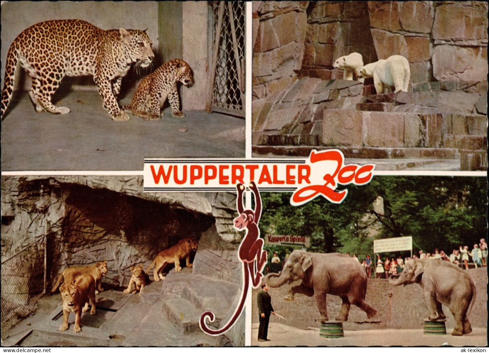 Elberfeld-Wuppertal Zoo Tiere Tiger, Eisbären, Löwe, Elefant Mehrbildkarte 1968 - Wuppertal