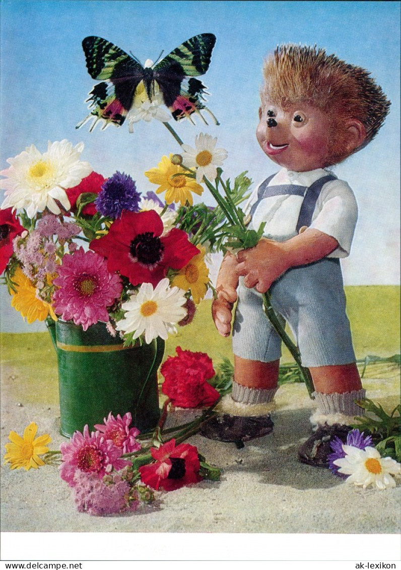 Ansichtskarte  Mecki (Diehl-Film): Blumenstrauß Mit Schmetterling 1970 - Mecki