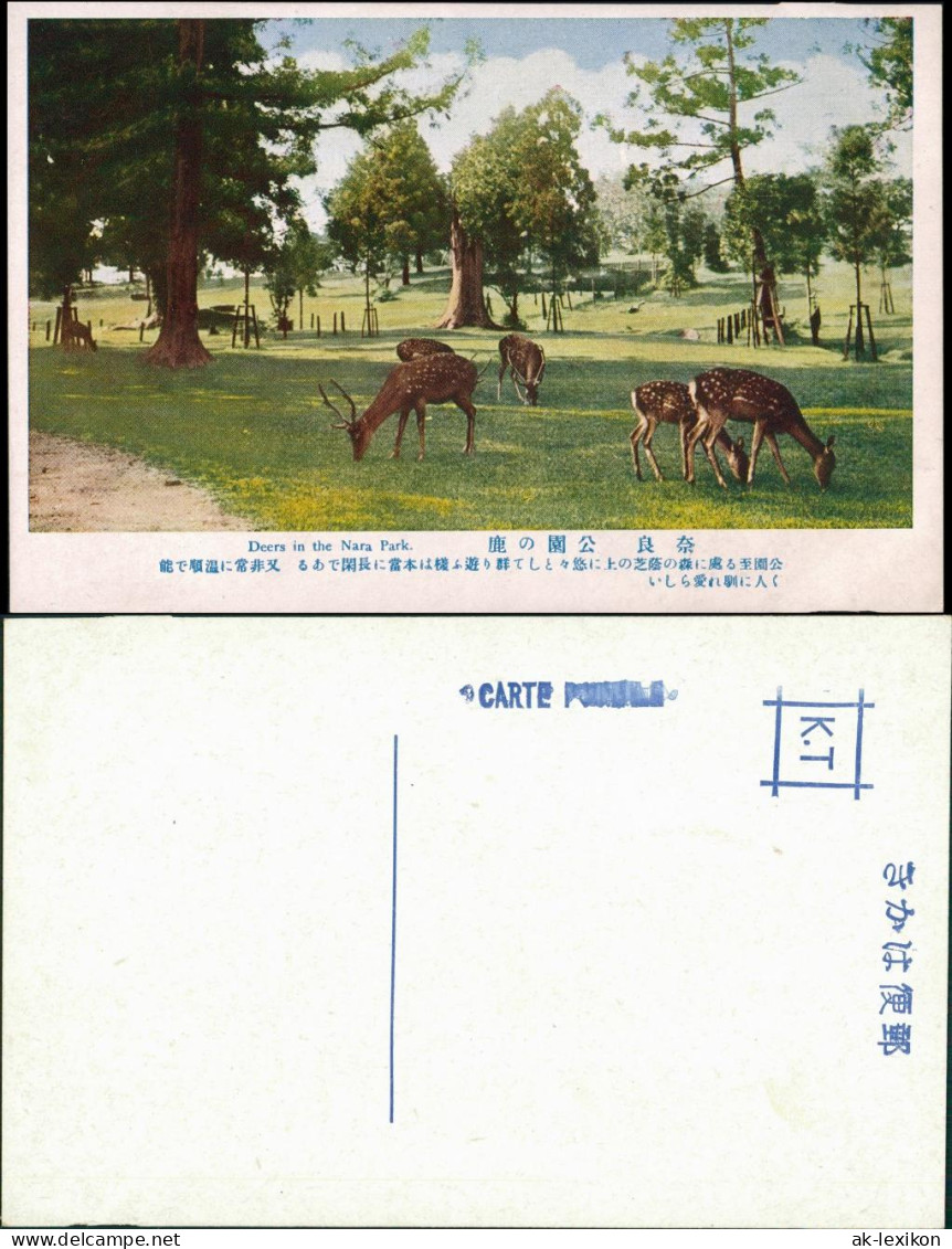 Postcard Japan Ansichten Japan Deers Nara Park, Rehe, Hirsch Tiere 1930 - Sonstige & Ohne Zuordnung