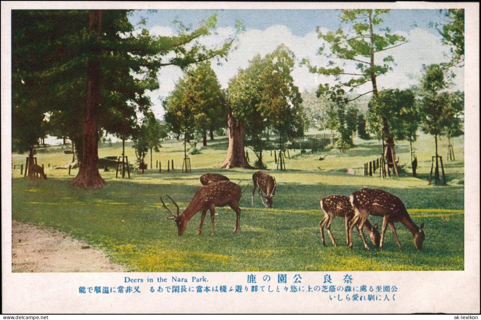 Postcard Japan Ansichten Japan Deers Nara Park, Rehe, Hirsch Tiere 1930 - Sonstige & Ohne Zuordnung