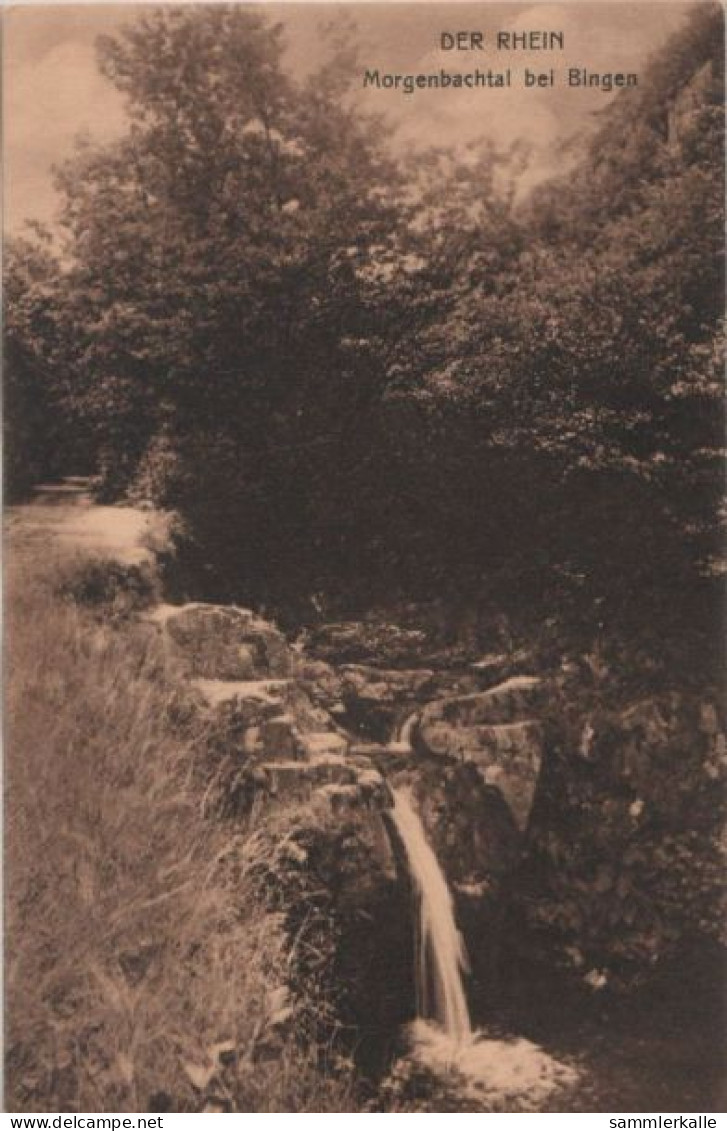 60129 - Bingen - Morgenbachtal - Ca. 1935 - Bingen