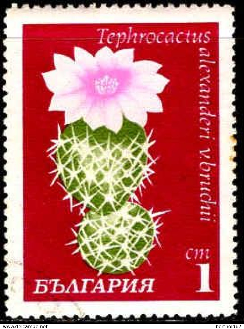 Bulgarie Poste Obl Yv:1770/1771 Fleurs De Cactus (cachet Rond) - Usati