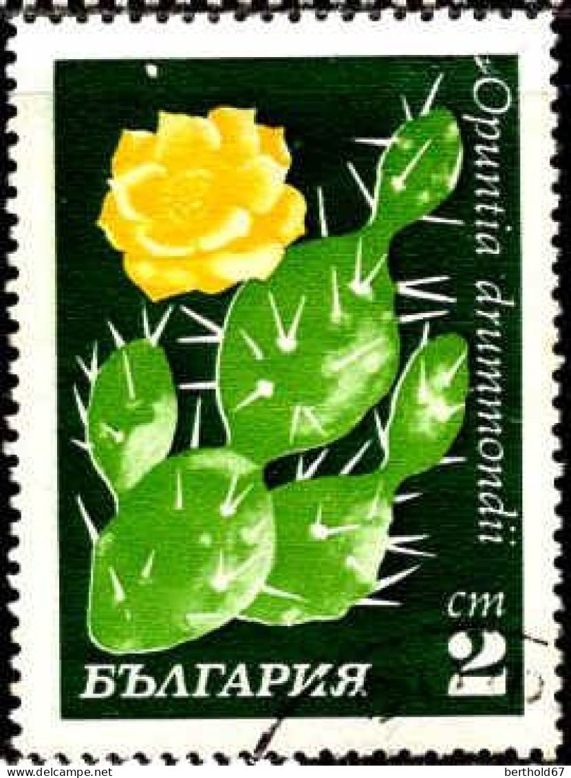 Bulgarie Poste Obl Yv:1770/1771 Fleurs De Cactus (cachet Rond) - Gebraucht