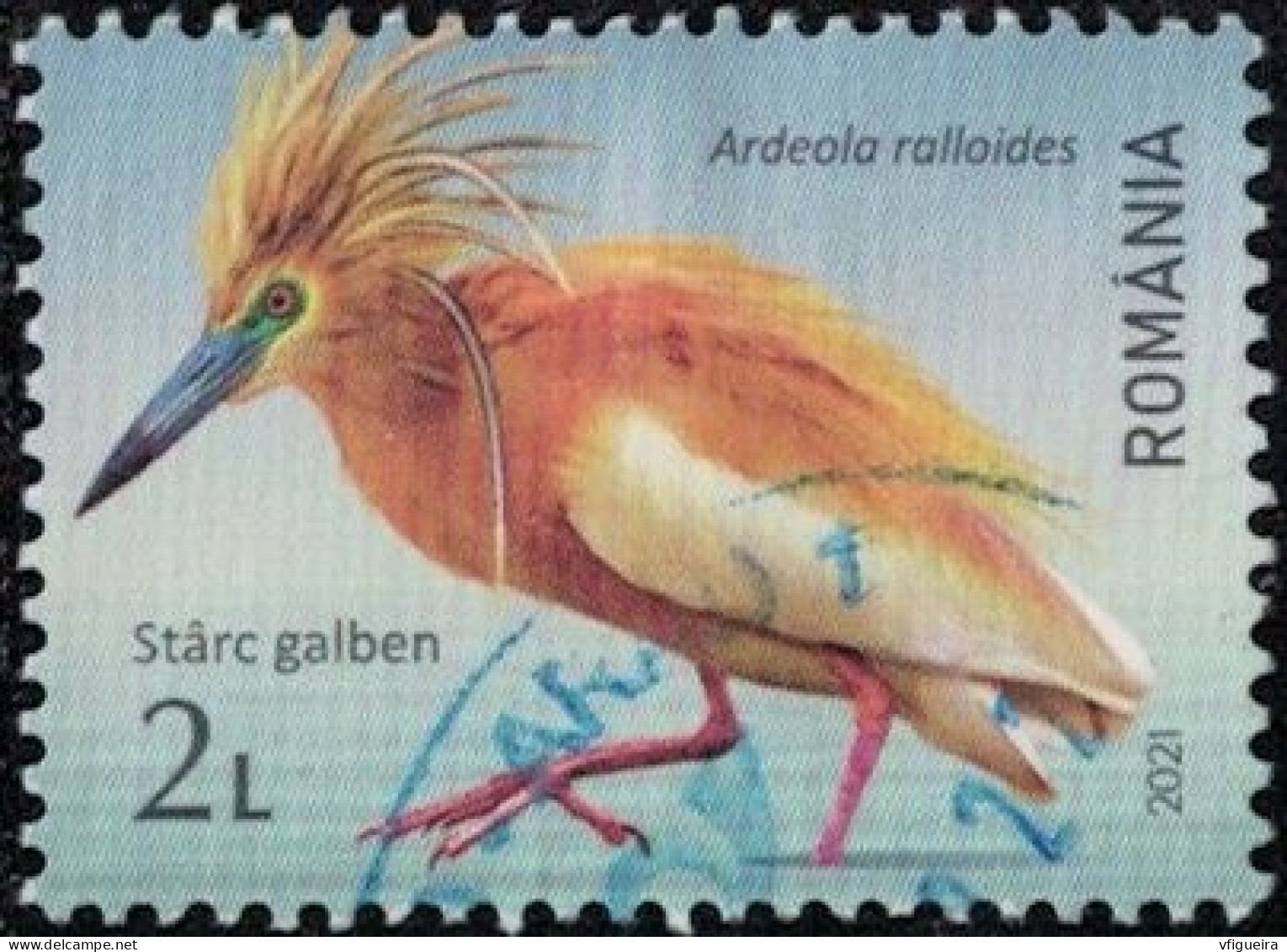 Roumanie 2021 Used Oiseau Ardeola Ralloides Crabier Chevelu Y&T RO 6674 SU - Usados