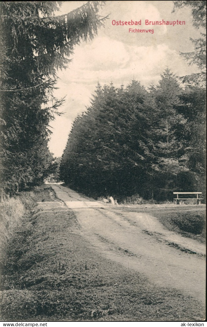 Ansichtskarte Brunshaupten-Kühlungsborn Fichtenweg 1912 - Kuehlungsborn