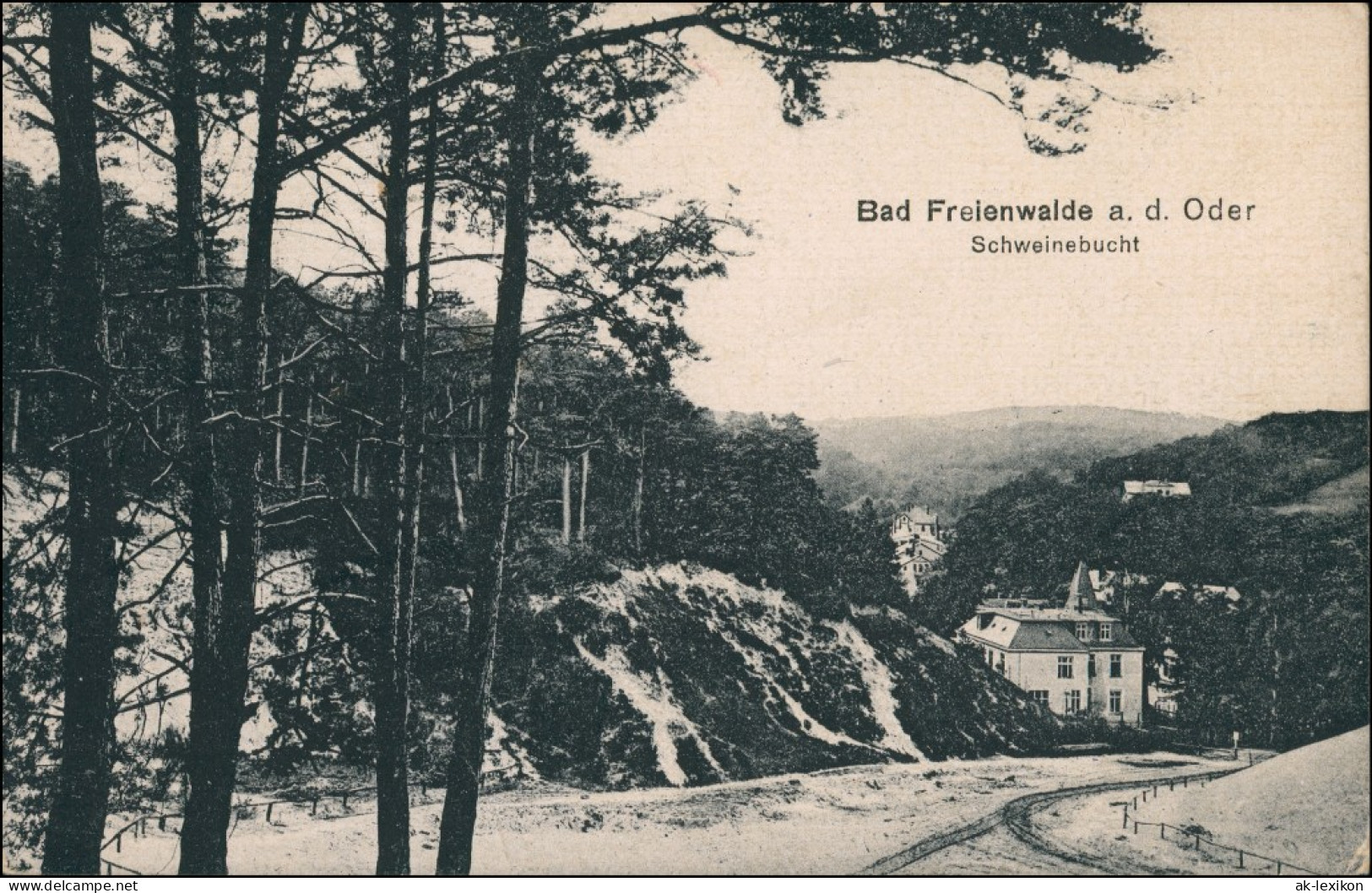 Ansichtskarte Bad Freienwalde Blick In Die Schweinebucht 1925 - Bad Freienwalde