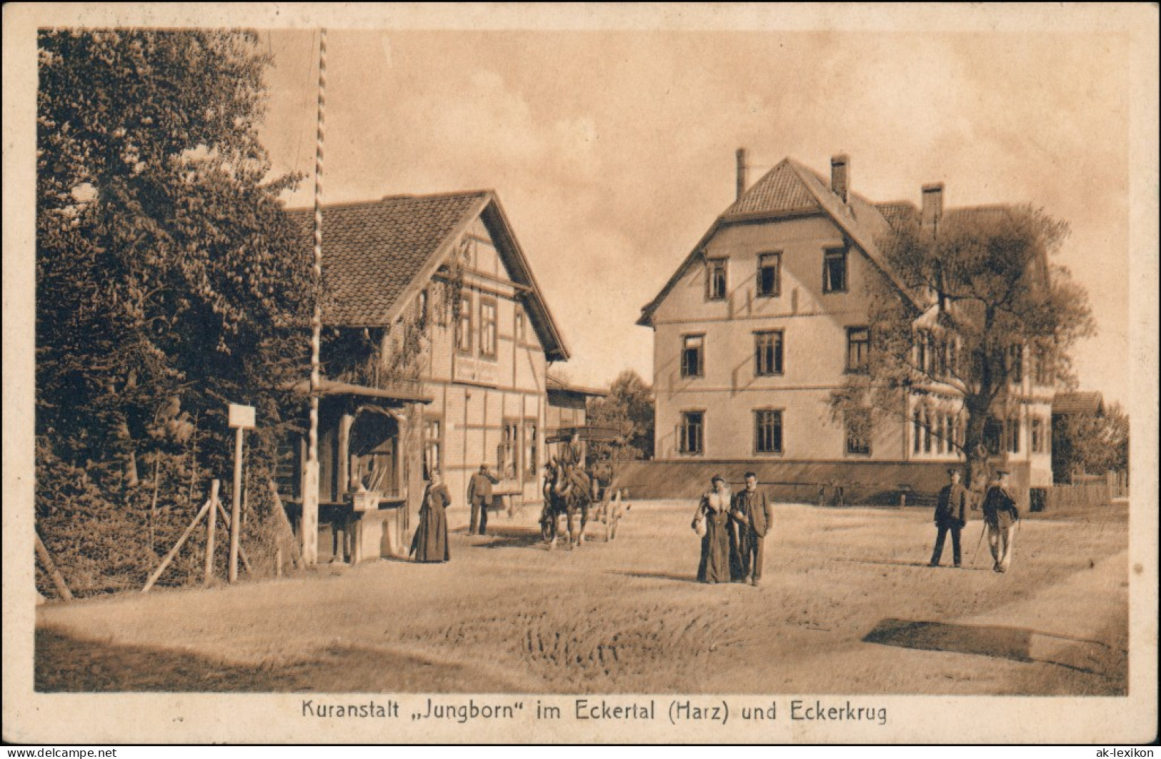 Ansichtskarte Eckertal-Bad Harzburg Kuranstalt Jungborn Eckerburg 1924 - Bad Harzburg