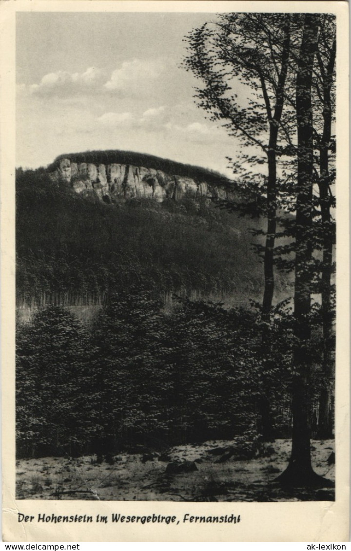 Hohenstein Im Wesergebirge, Fernansicht, Stimmungsbild Natur & Landschaft 1960 - Non Classificati