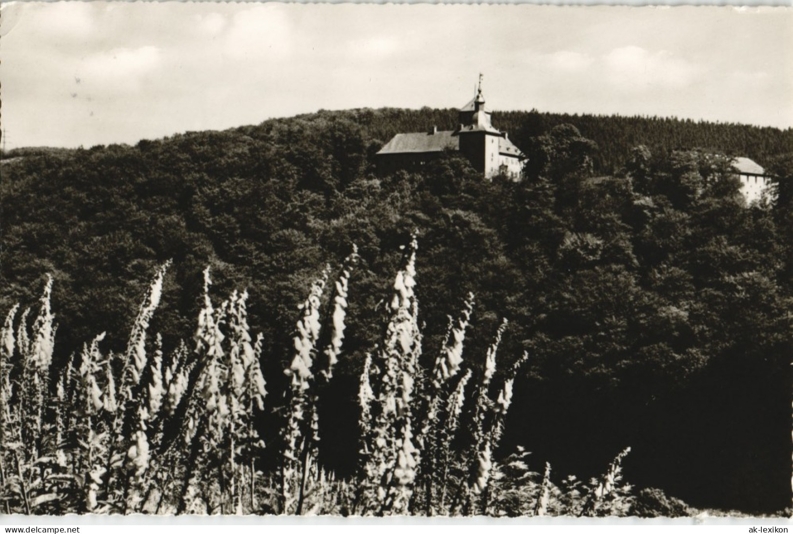 Ansichtskarte Attendorn Fernansicht Auf Die Burg Schnellenberg 1970 - Attendorn