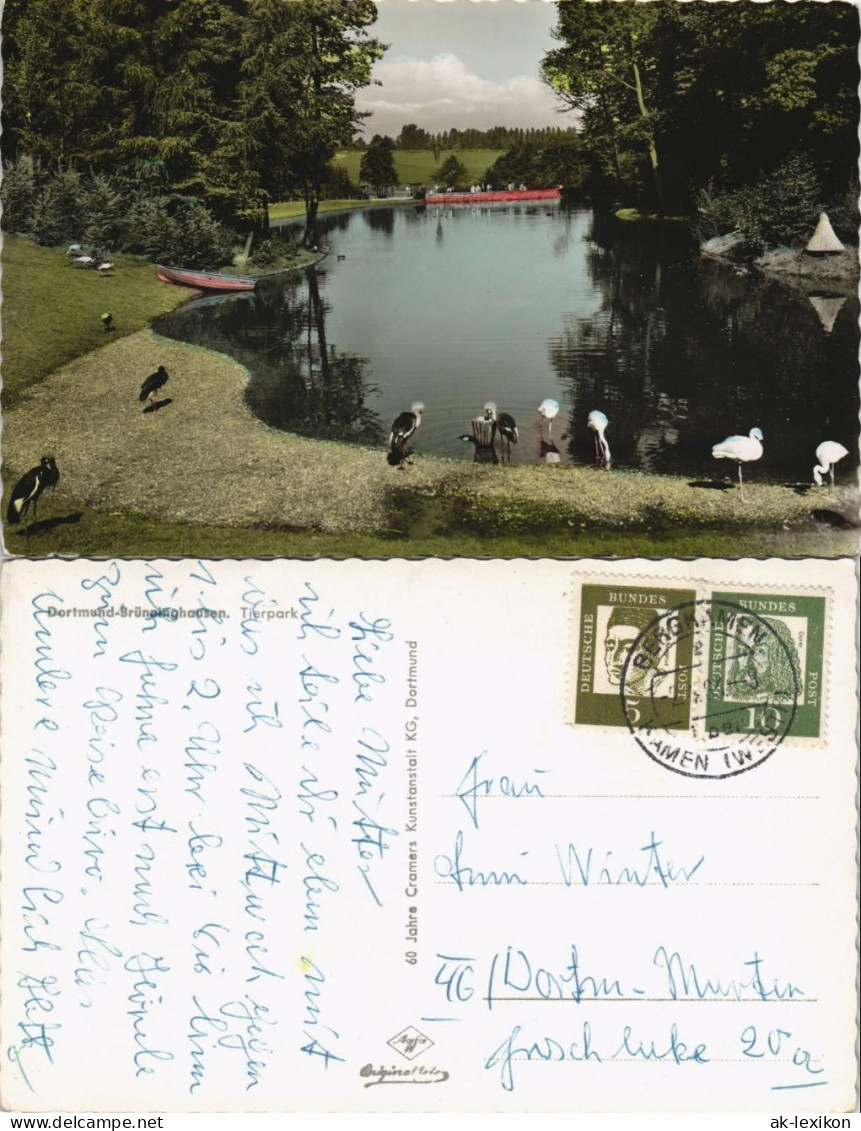 Ansichtskarte Brünninghausen-Dortmund Tierpark Vögel Am Teich 1965 - Dortmund