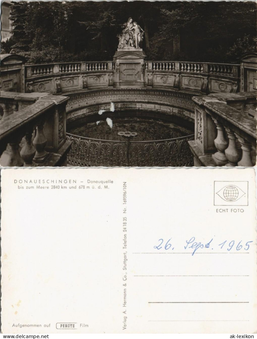 Ansichtskarte Donaueschingen Donauquelle 1965 - Donaueschingen