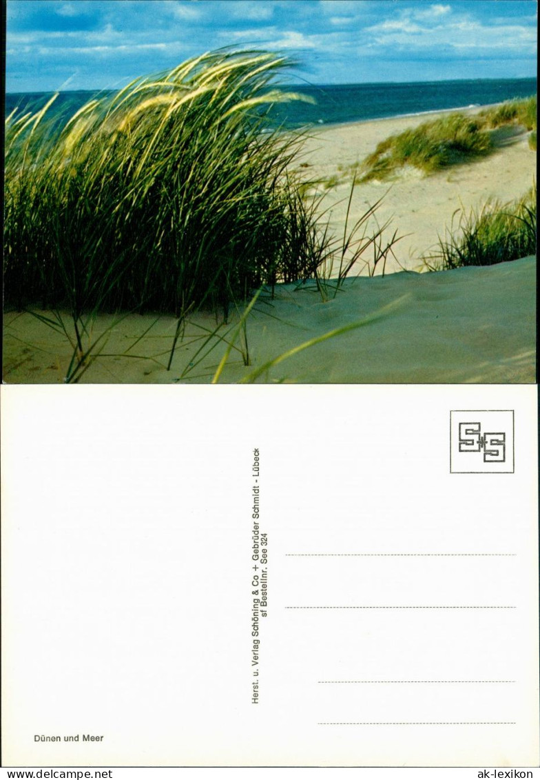 Ansichtskarte  Dünen Und Meer (vermutlich Dt. Nordsee) 1975 - Non Classificati