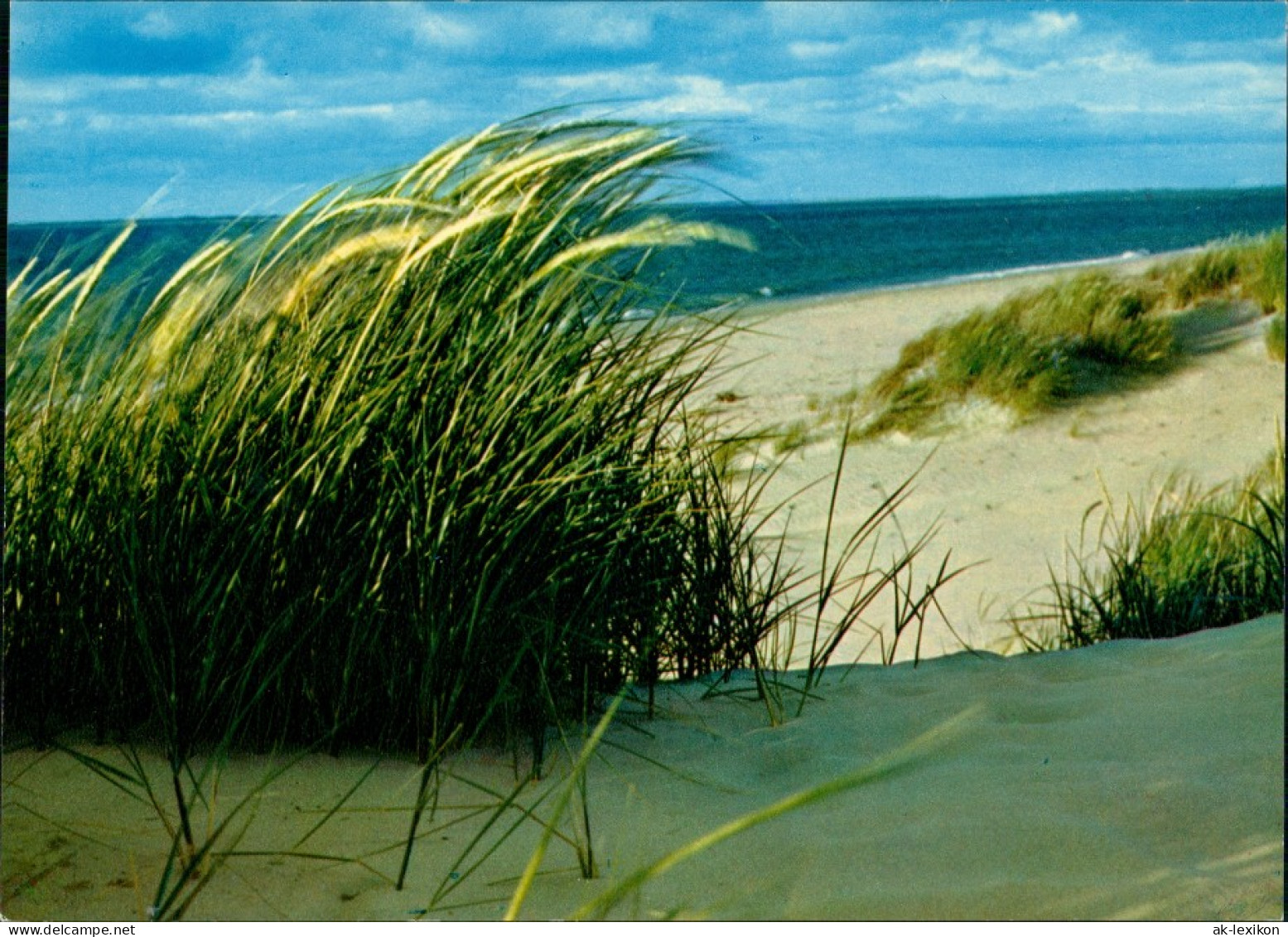 Ansichtskarte  Dünen Und Meer (vermutlich Dt. Nordsee) 1975 - Non Classificati
