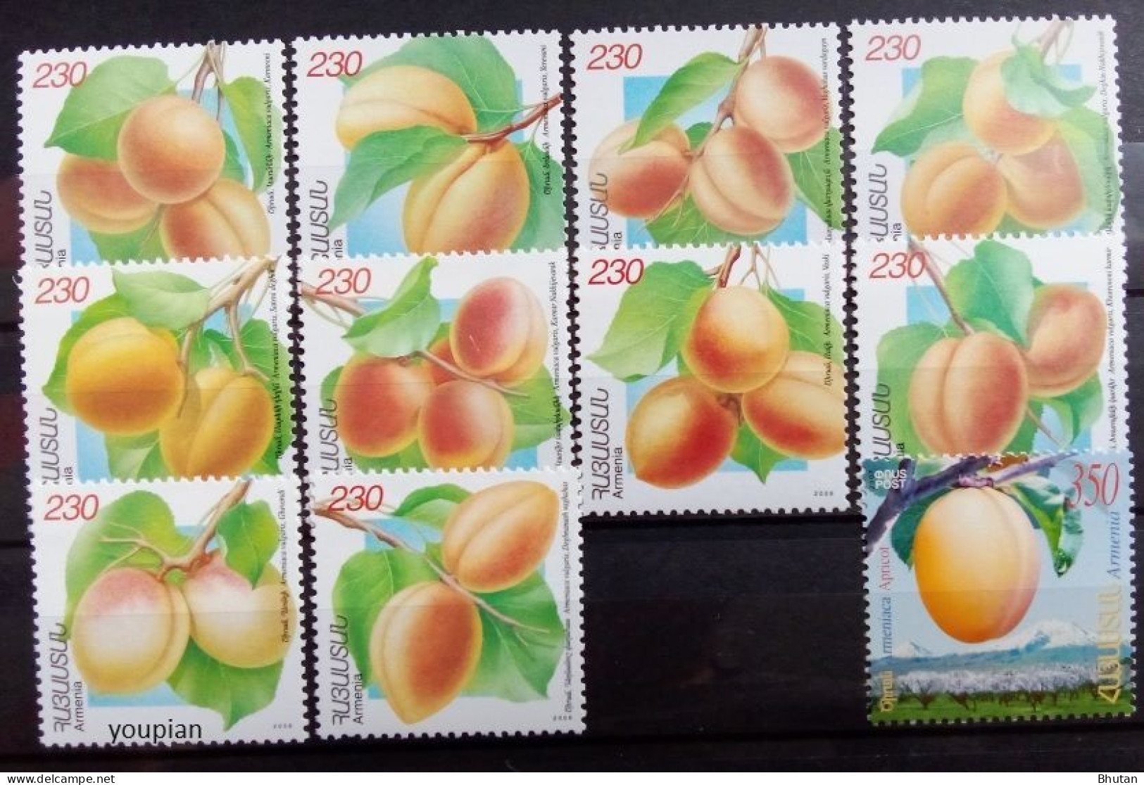 Armenia 2007, Apricots, MNH Stamps Set - Armenia