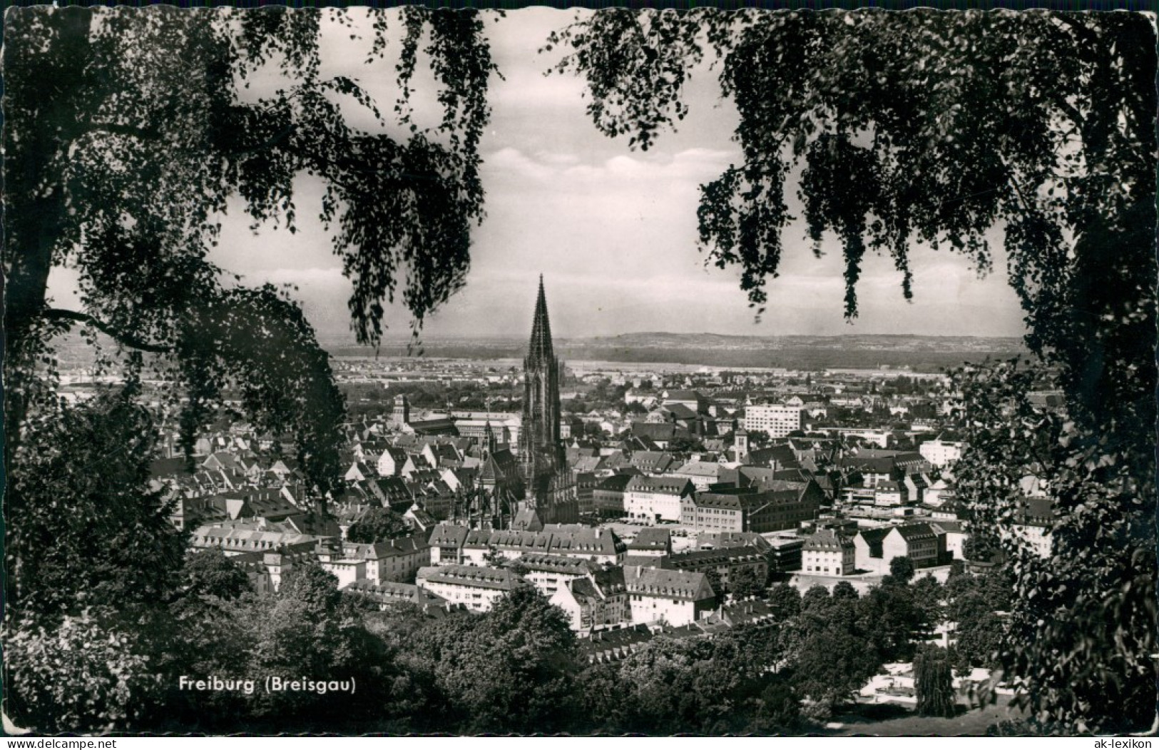 Ansichtskarte Freiburg Im Breisgau Panorama-Ansicht Stadtblick 1961 - Freiburg I. Br.