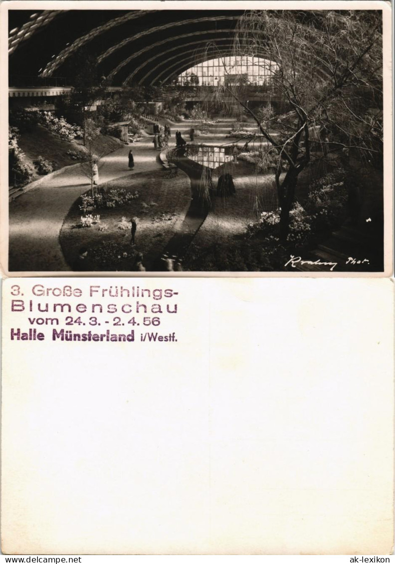 Ansichtskarte Halle (Westfalen) 3. Große Frühlingsblumenschau - Innen 1956 - Halle I. Westf.