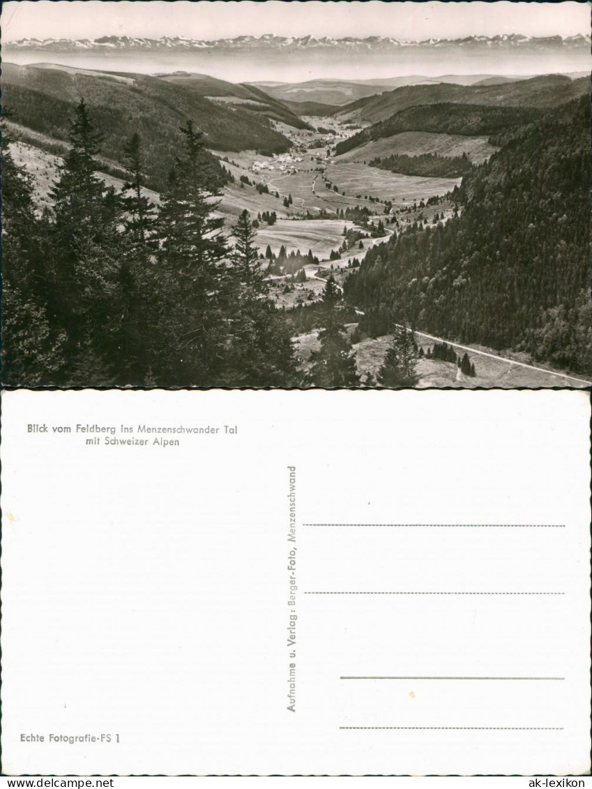 Menzenschwand-St. Blasien Blick Vom Feldberg Ins Menzenschwander Tal 1960 - St. Blasien