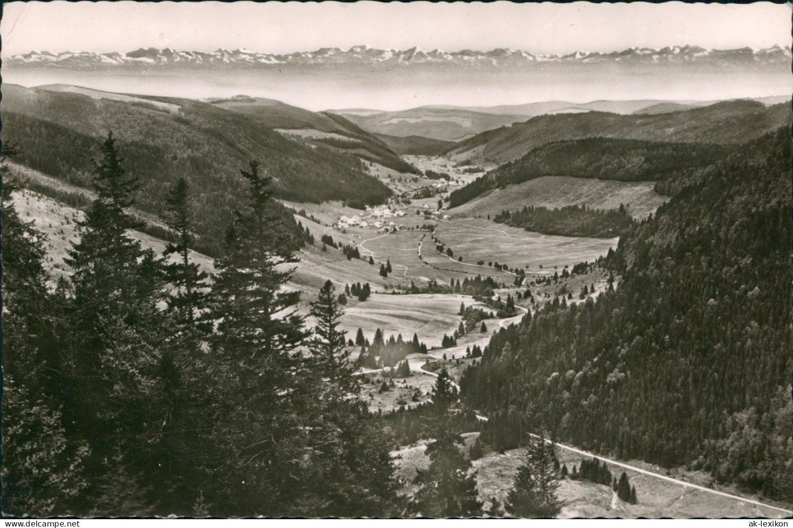 Menzenschwand-St. Blasien Blick Vom Feldberg Ins Menzenschwander Tal 1960 - St. Blasien