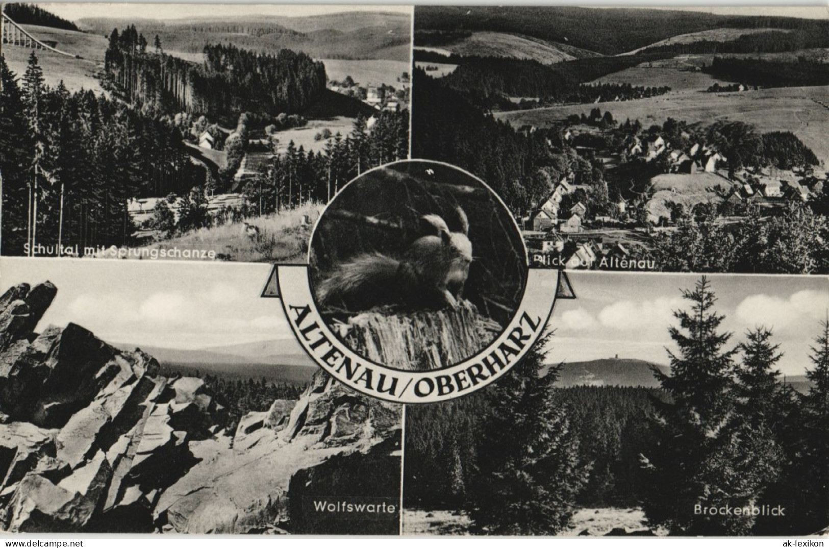 Ansichtskarte Altenau-Clausthal-Zellerfeld Stadtansichten - Eichhörnchen 1967 - Altenau