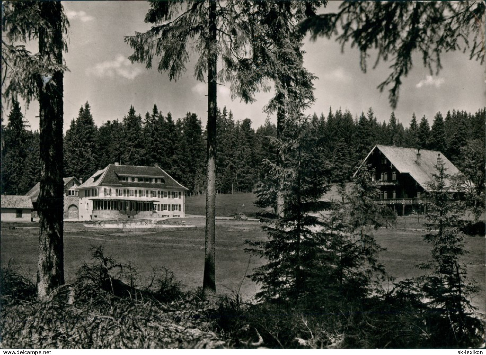 Ansichtskarte Gernsbach Umland-Ansicht Mit Kur-/Gästehaus Kaltenbronn 1959 - Gernsbach