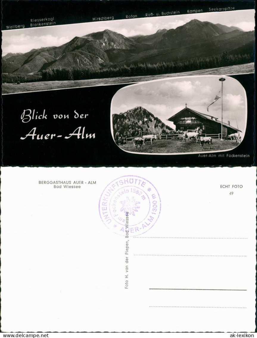 Ansichtskarte Bad Wiessee 2 Bild Auer-Alm, Kühe 1961 - Bad Wiessee