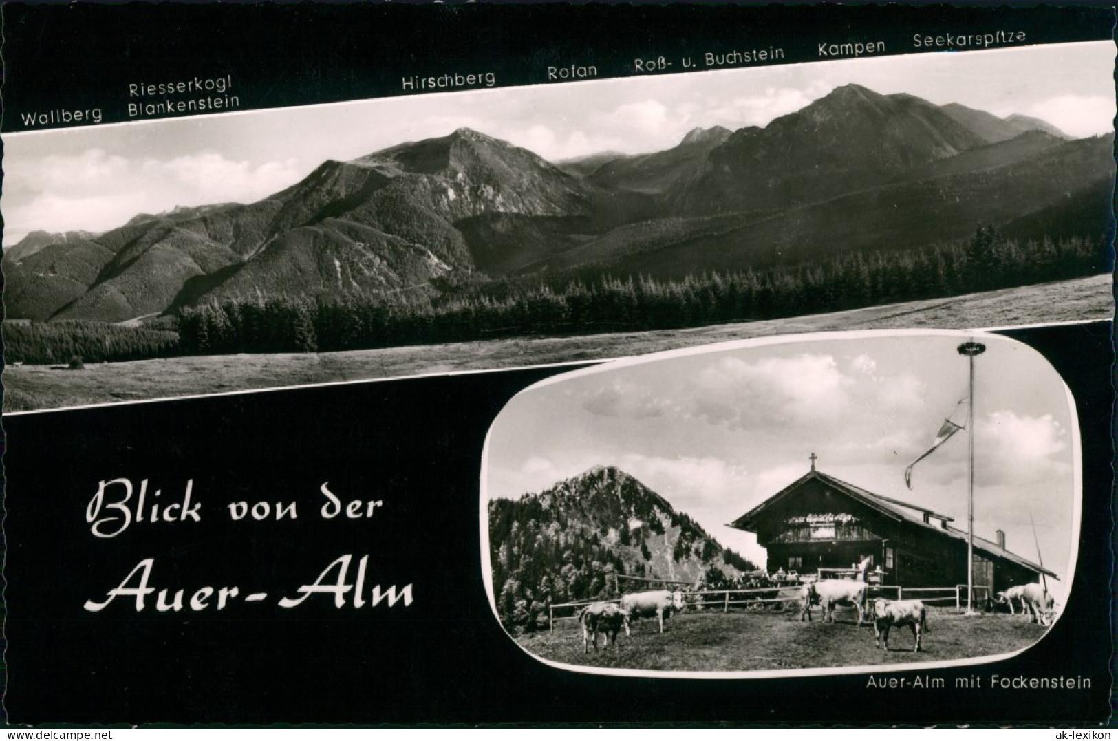 Ansichtskarte Bad Wiessee 2 Bild Auer-Alm, Kühe 1961 - Bad Wiessee