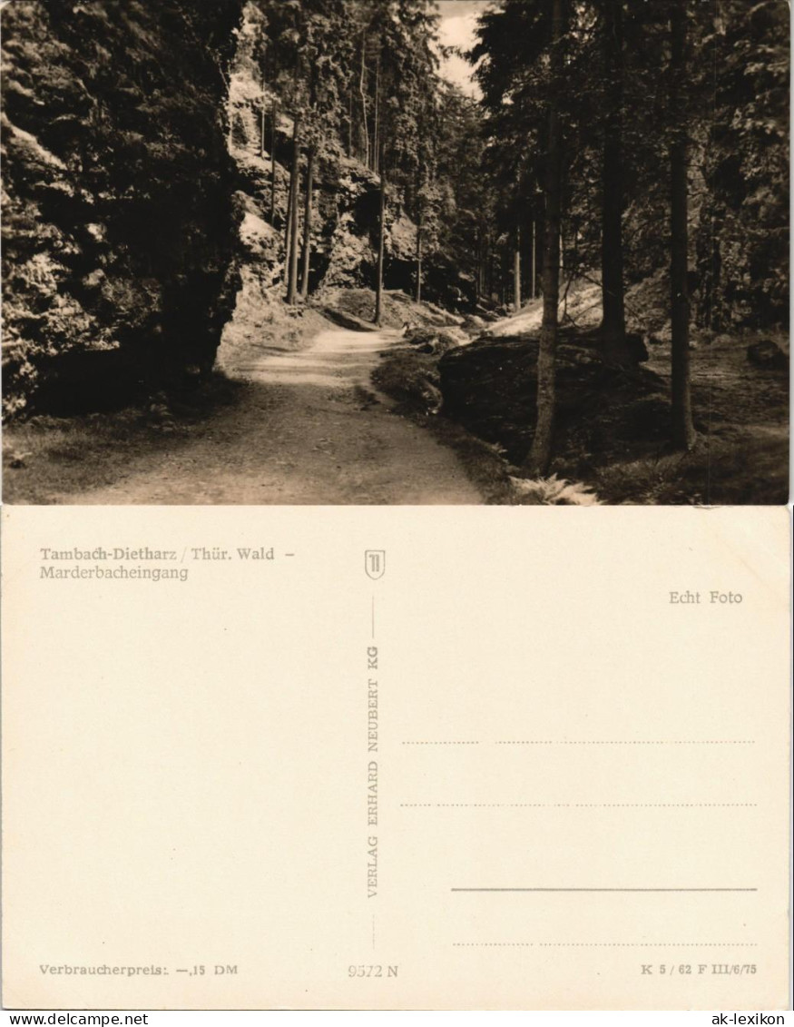 Tambach-Dietharz Marderbacheingang Thüringer Wald DDR Ansicht 1962 - Tambach-Dietharz