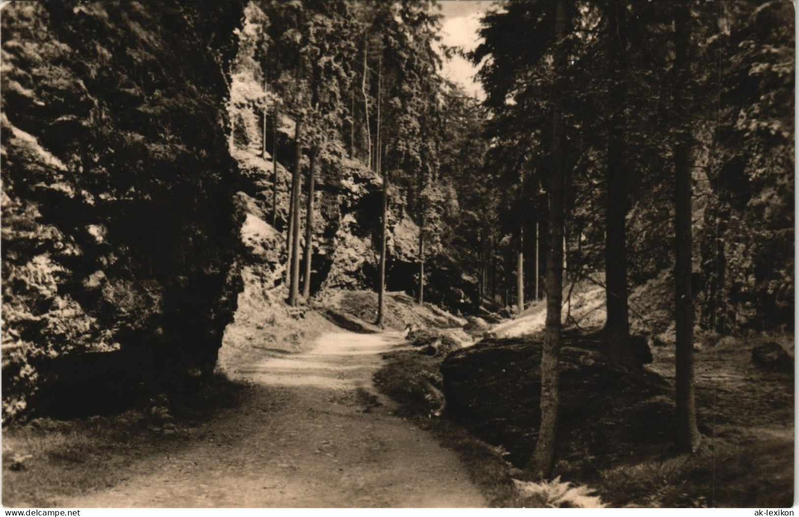 Tambach-Dietharz Marderbacheingang Thüringer Wald DDR Ansicht 1962 - Tambach-Dietharz