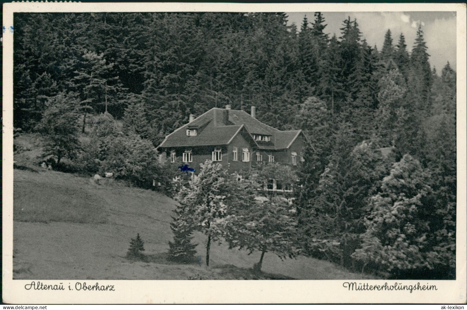 Ansichtskarte Altenau-Clausthal-Zellerfeld Müttererholungsheim Im Wald 1959 - Altenau