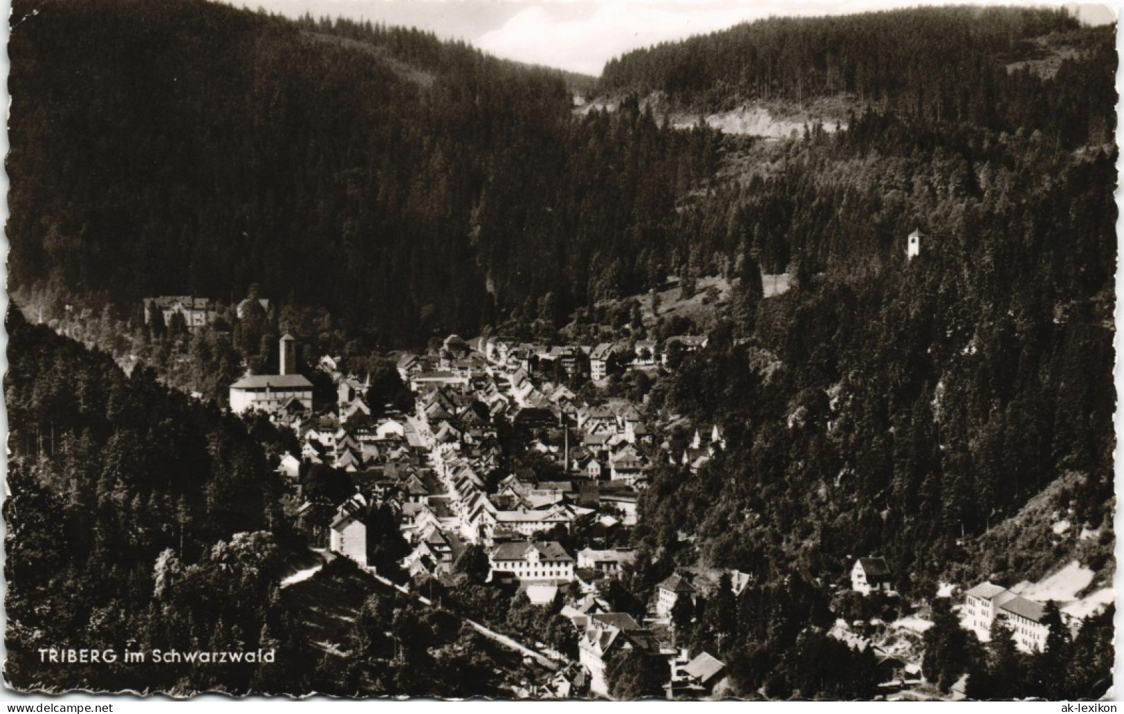 Ansichtskarte Triberg Im Schwarzwald Panorama-Ansichte Gesamtansicht 1965 - Triberg