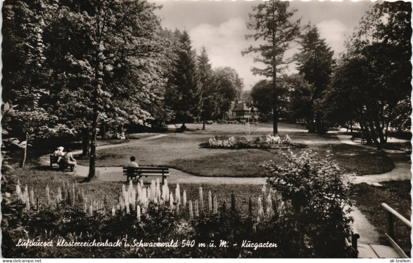 Ansichtskarte Klosterreichenbach-Baiersbronn Partie Im Kurpark Kurgarten 1959 - Baiersbronn