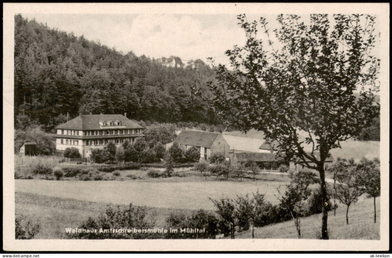 Eisenberg (Thüringen) Waldhaus Amtsschreibersmühle Im Mühltal Zur DDR-Zeit 1957 - Eisenberg
