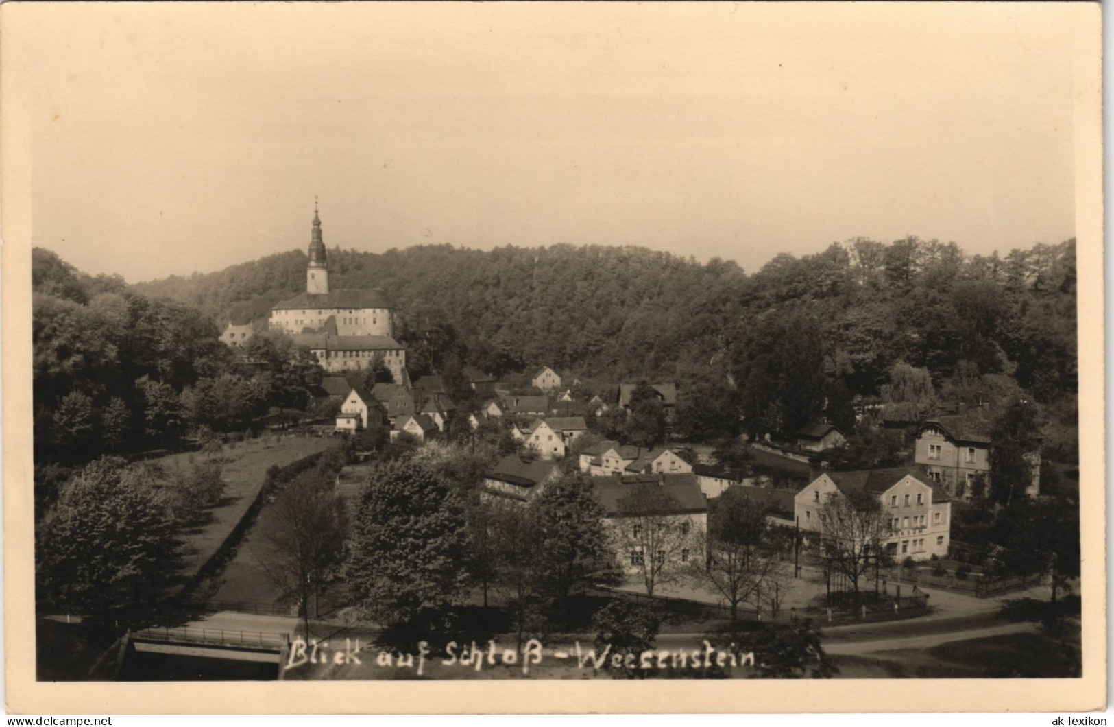 Ansichtskarte Weesenstein (Müglitz) Stadt In Der Ferne Schloß 1955 - Weesenstein A. D. Müglitz