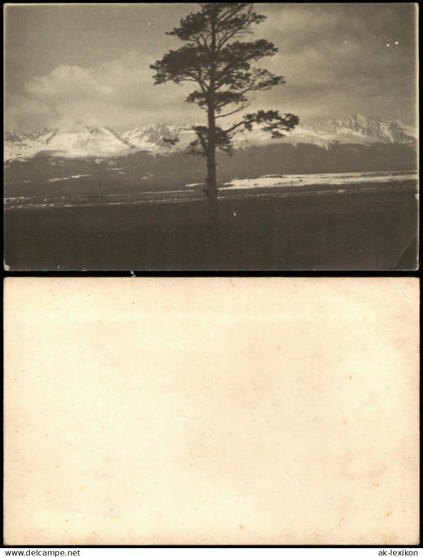 Stimmungsbilder Natur "einsamer" Baum Vor Verschneiter Berg-Kulisse 1930 - Non Classificati