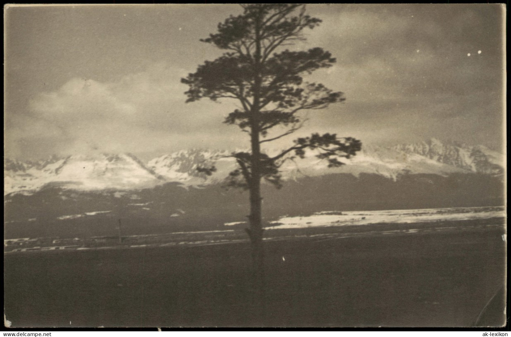 Stimmungsbilder Natur "einsamer" Baum Vor Verschneiter Berg-Kulisse 1930 - Non Classificati
