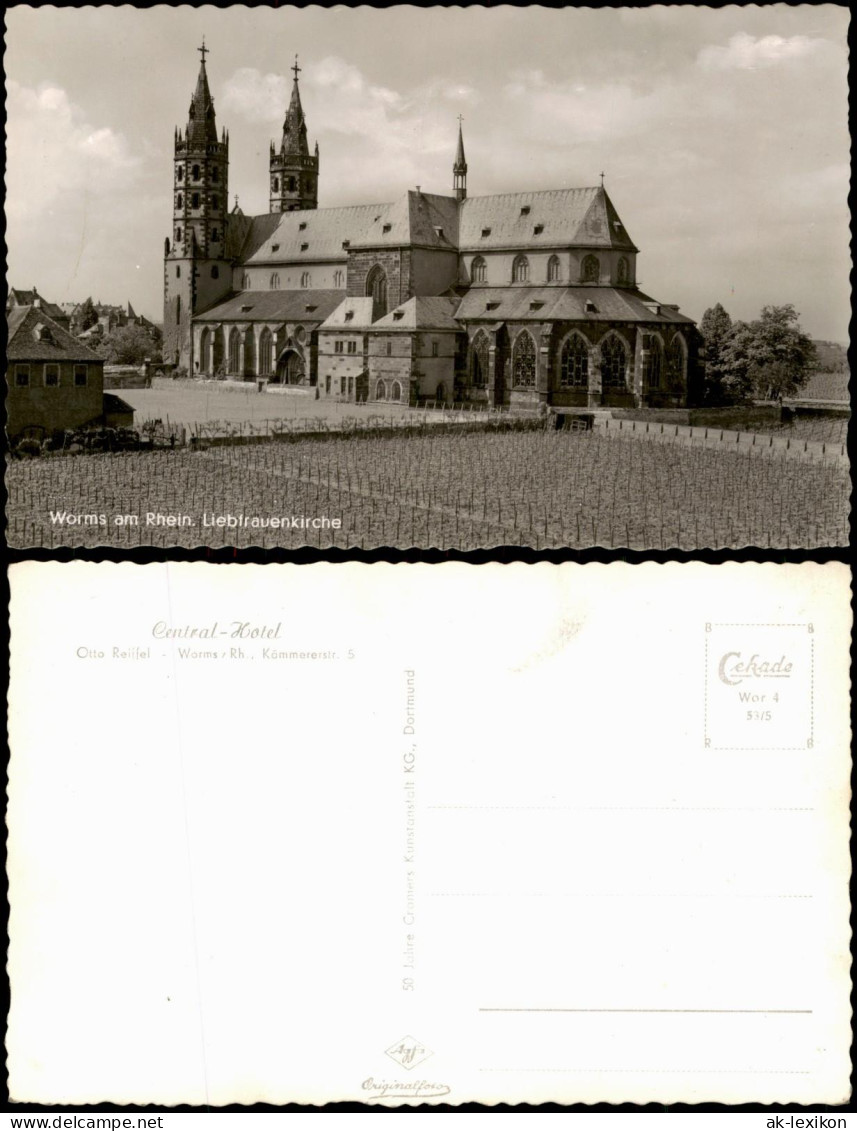 Ansichtskarte Worms Liebfrauenkirche, Weinreben 1962 - Worms