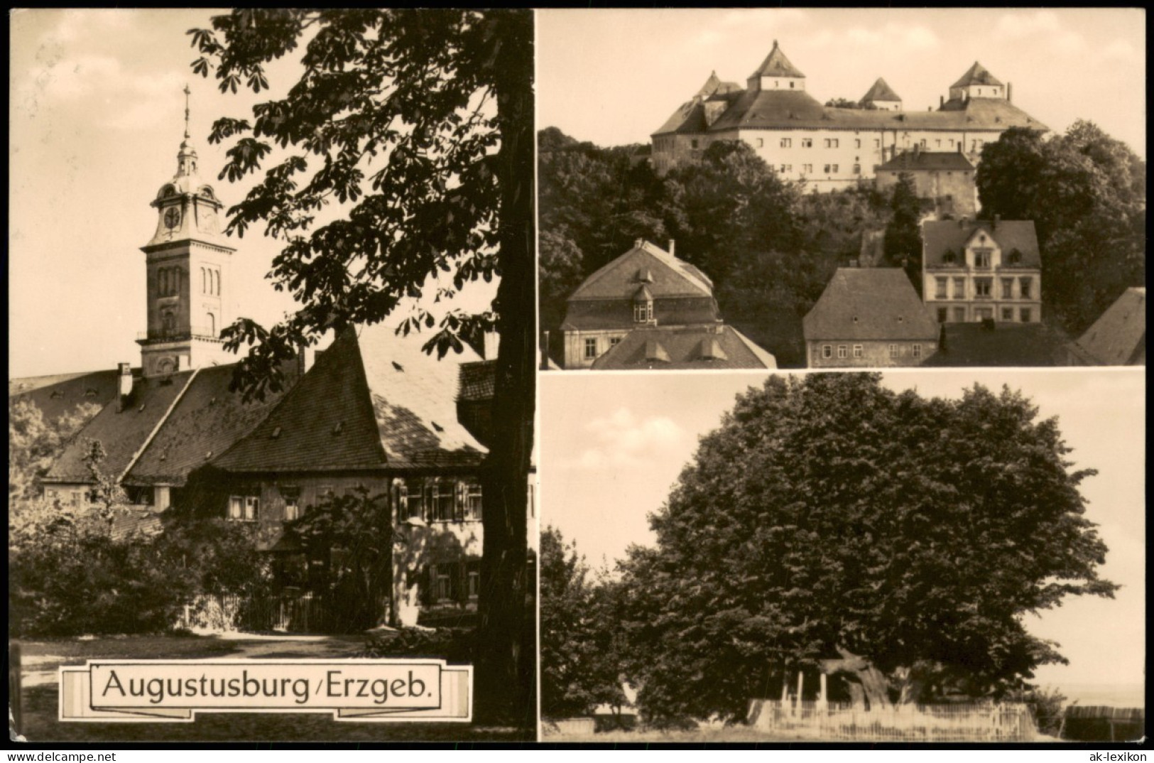 Augustusburg Erzgebirge DDR Mehrbildkarte Mit 3 Stadtteilansichten 1964 - Augustusburg