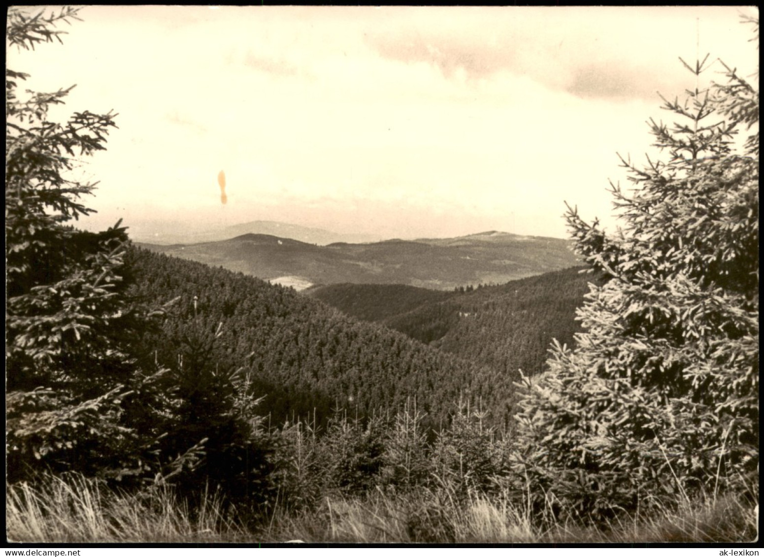 Ansichtskarte Schmiedefeld (Rennsteig) Blick Vom Rennsteig 1979 - Schmiedefeld