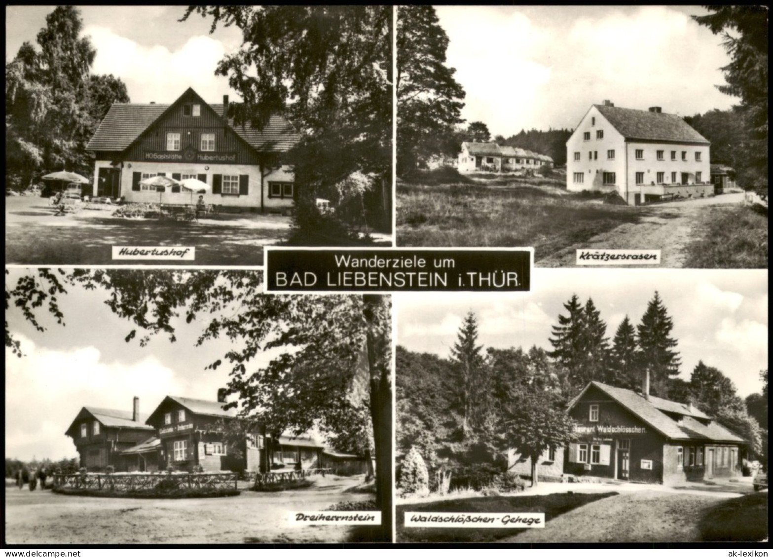 Ansichtskarte Bad Liebenstein Hubertushof, Krätzersrasen, Dreiherrnstein 1972 - Bad Liebenstein