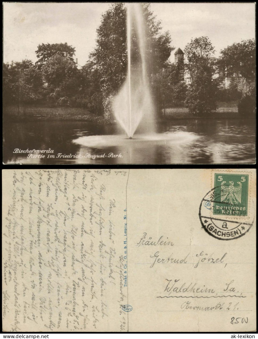 Ansichtskarte Bischofswerda Partie Im Friedrich August-Park, 1924 - Bischofswerda