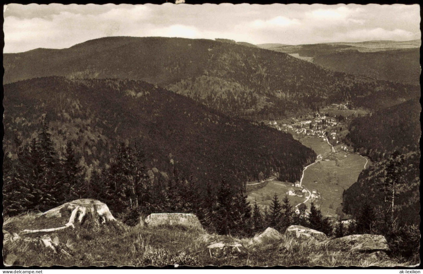 Ansichtskarte Bad Herrenalb Blick Vom Schweizerkopf 1959 - Bad Herrenalb