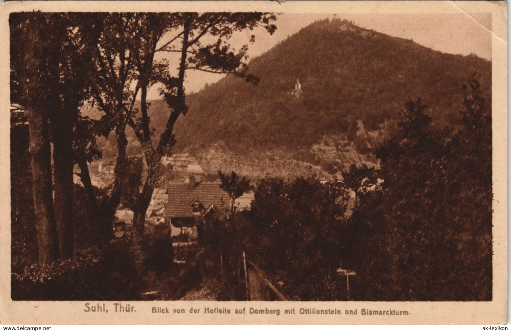 Suhl Blick Von Hofleite Auf Domberg Mit Ottilienstein Und Bismarckturm 1920 - Suhl